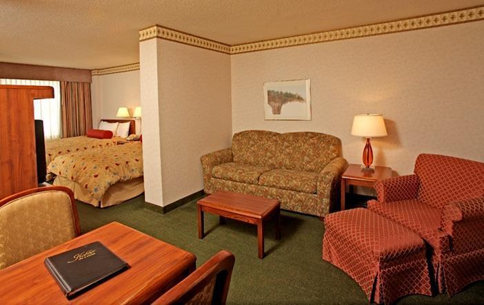 Kahler Inn And Suites Rochester Rum bild